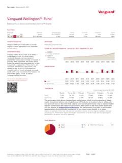 vanguard balanced index fact sheet.